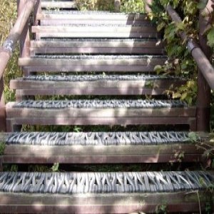 이미지 상세보기